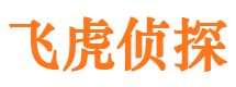 老河口市侦探调查公司